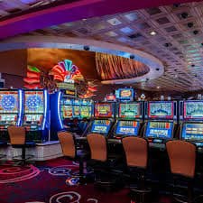 Studio live dealer Dragon Fishing dengan multiple camera angles dan display statistik real-time